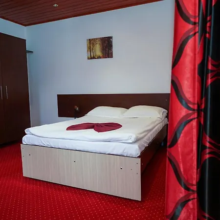 Vila Trandafirul Si Liliacul 3*