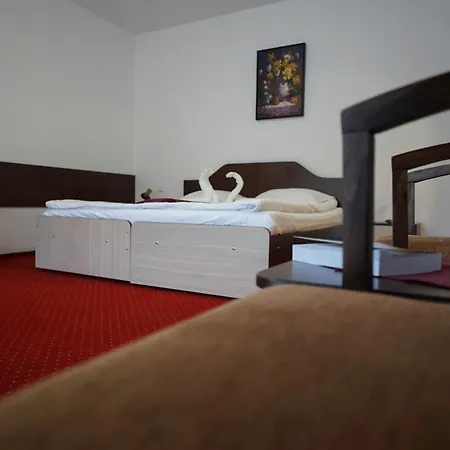Vila Trandafirul Si Liliacul 3* Caciulata