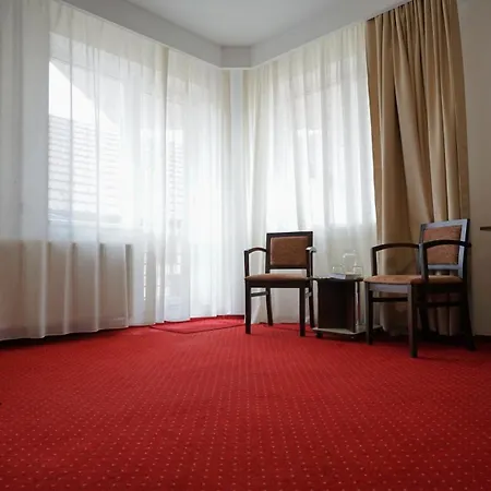 Hotel Vila Trandafirul Si Liliacul 3*