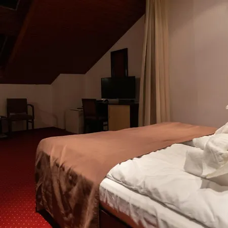 Vila Trandafirul Si Liliacul Hotel