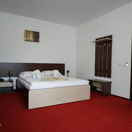 Hotel Vila Trandafirul Si Liliacul Caciulata