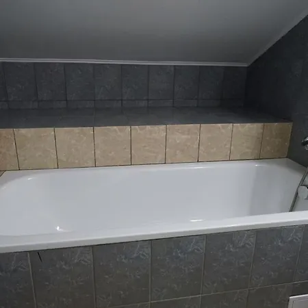 Hotel Vila Trandafirul Si Liliacul