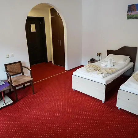 Vila Trandafirul Si Liliacul 3* Caciulata